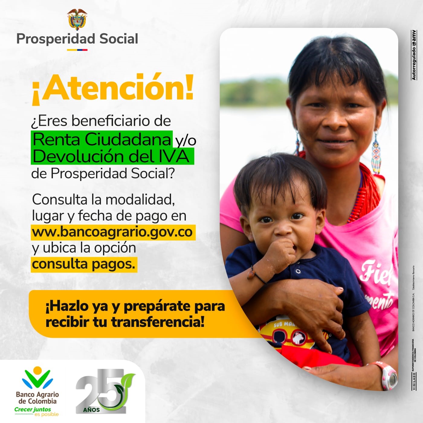Consultapagos
