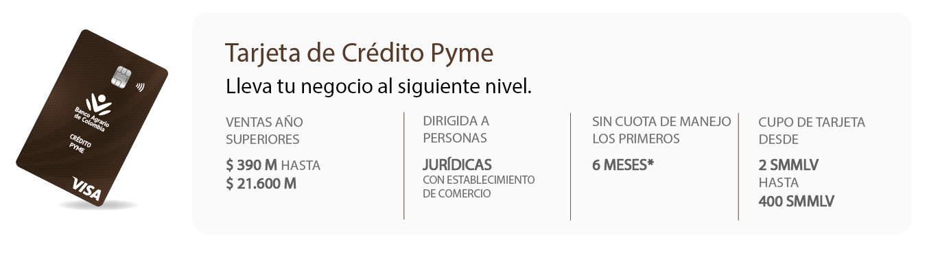 Características tarjeta de crédito pyme