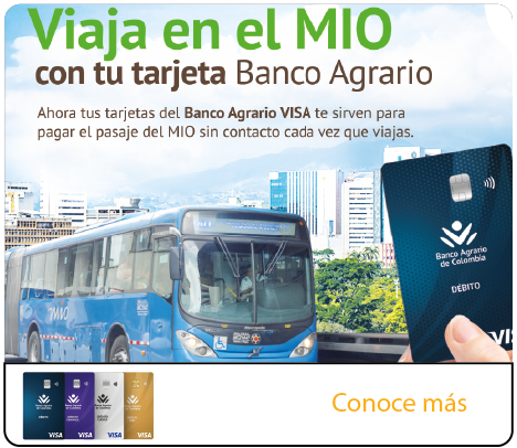 VIAJA EN EL MIO