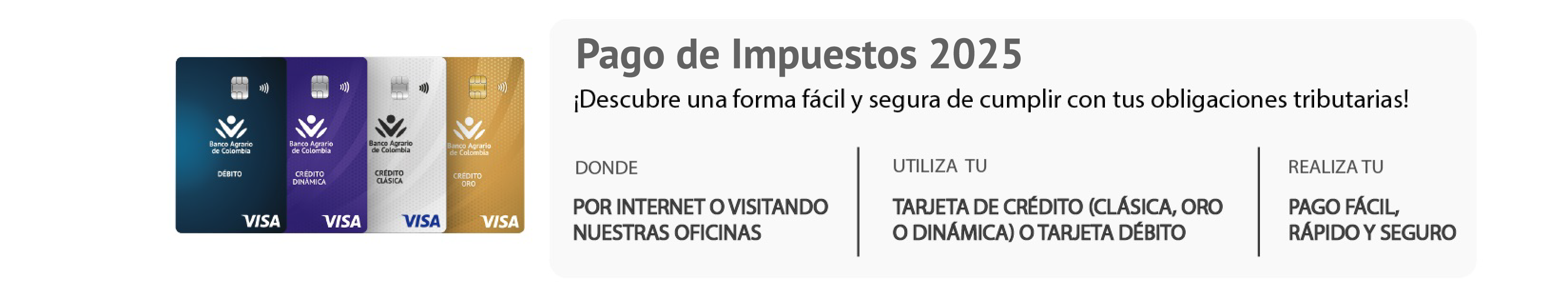 Pago de impuestos