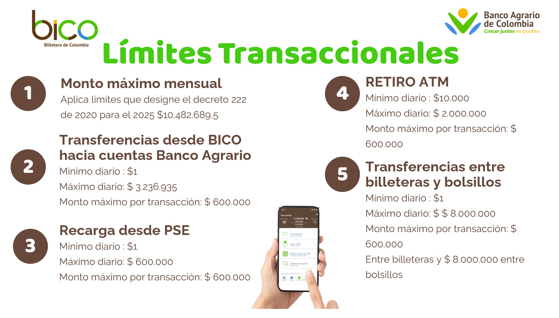 limites transaccionales