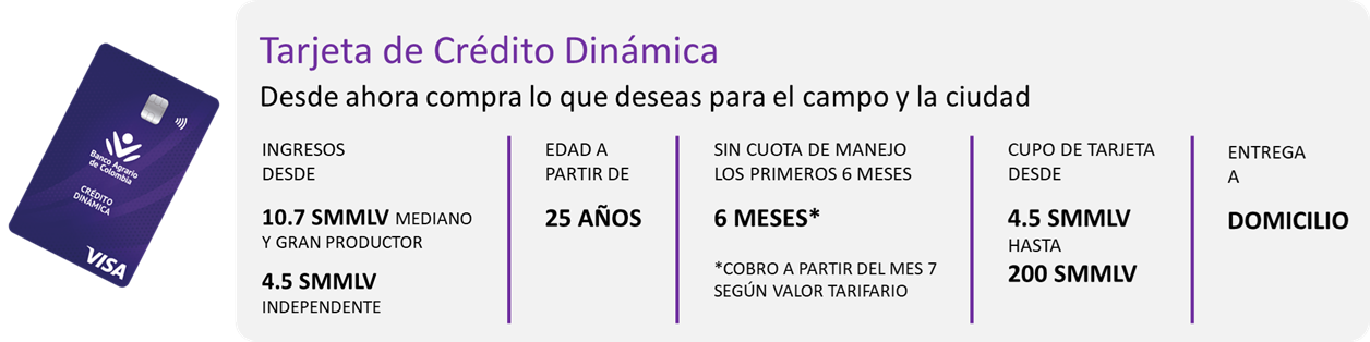 imagen tarjeta dinámica