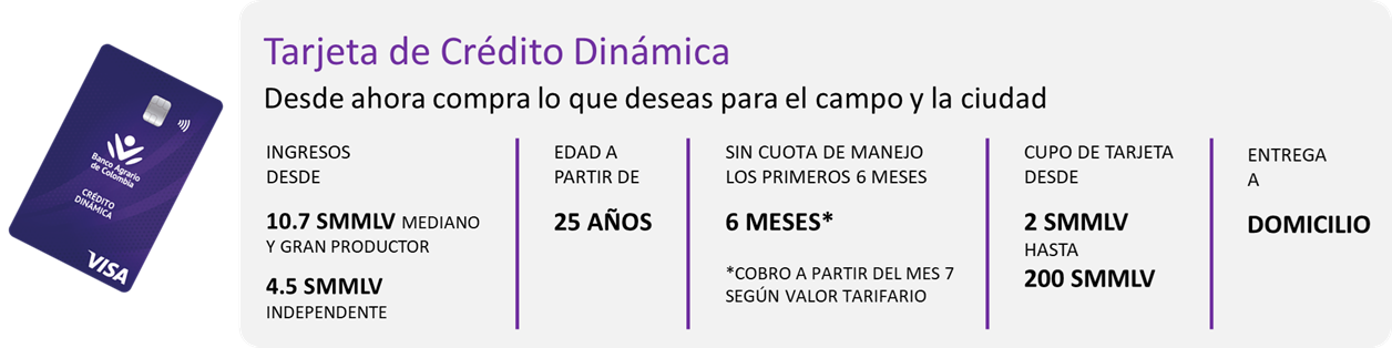 imagen tarjeta dinámica