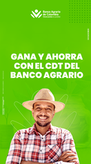 cdt
