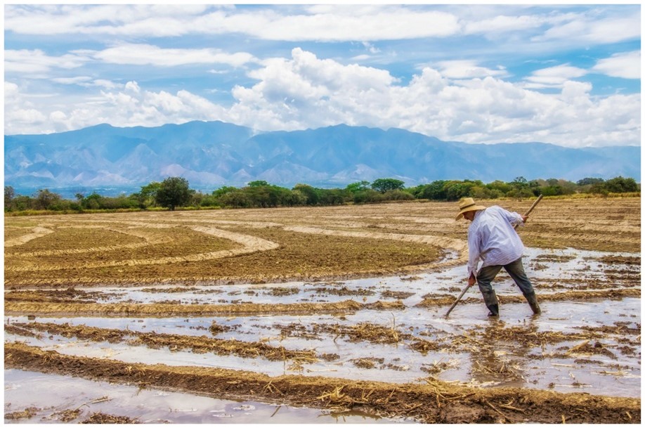 Día del Campesino 
