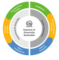 Esquema sostenibilidad BAC 