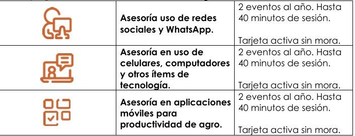 asesoría tecnologia 