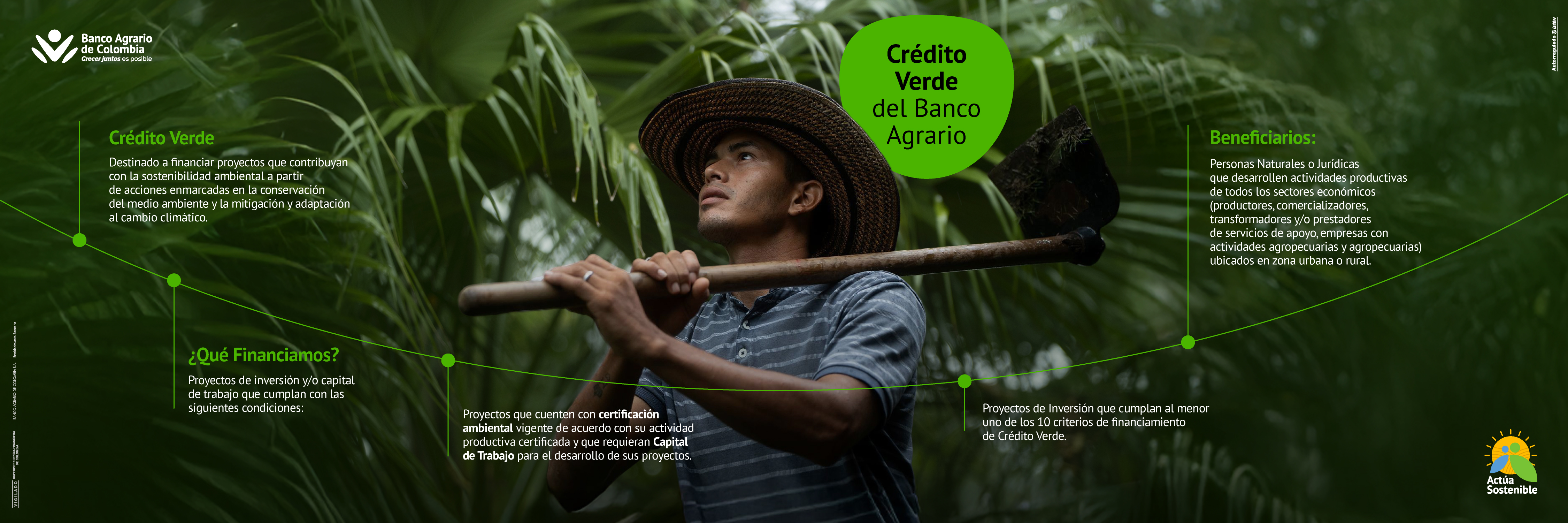 portafolio verde