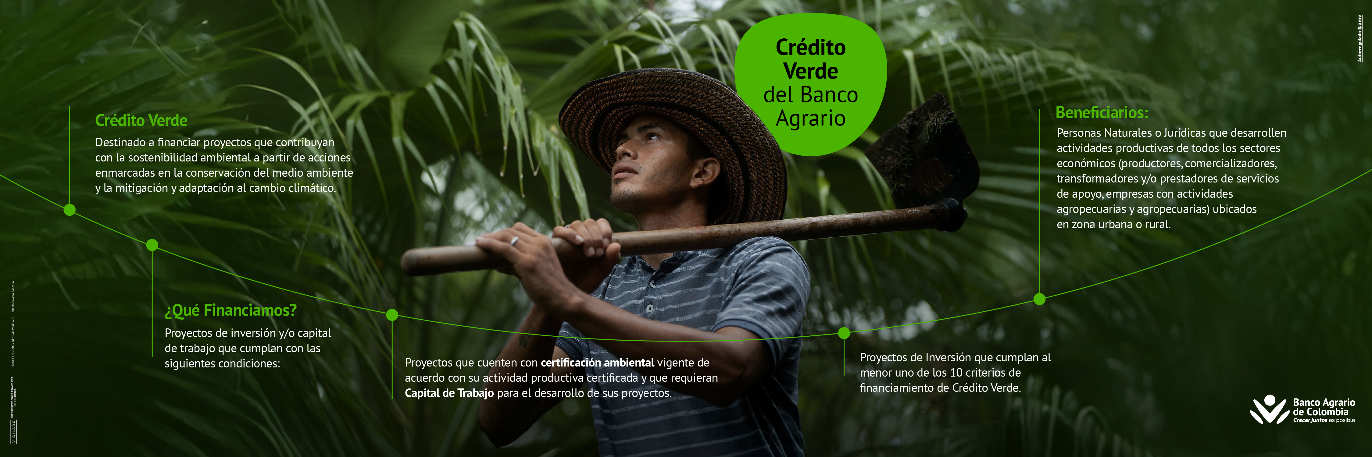 Portafolio Verde 