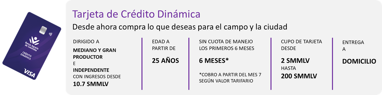 imagen tarjeta dinámica