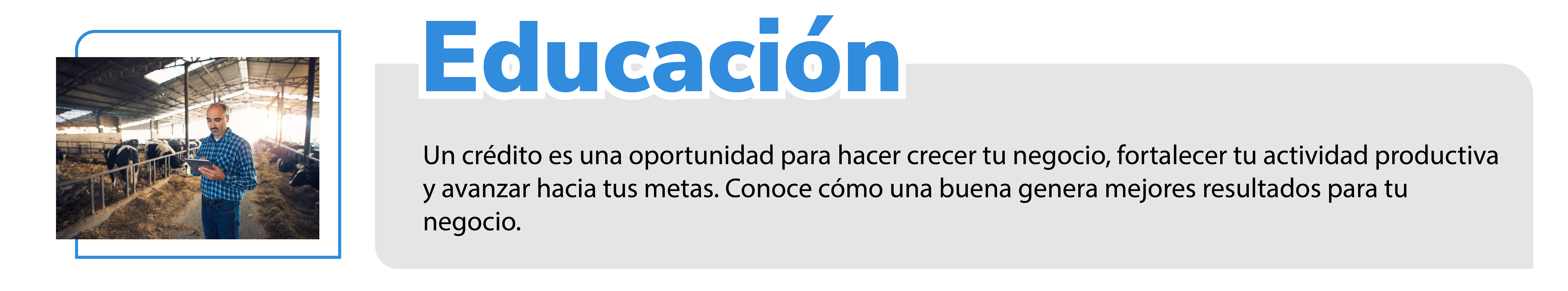 Educación 