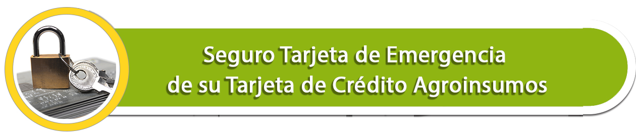 tarjeta emergencia agroinsumos