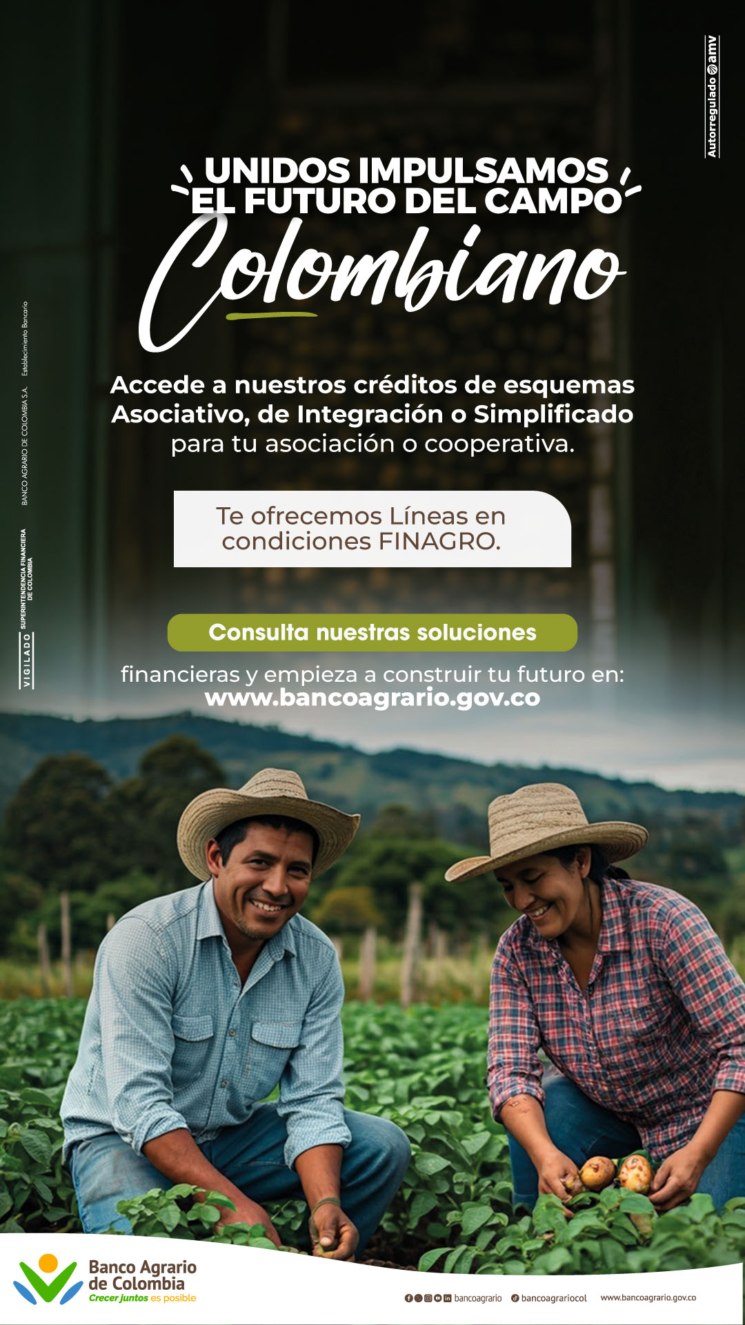 campaña