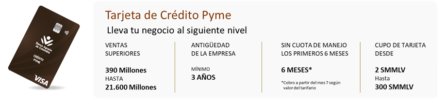 Características tarjeta de crédito pyme
