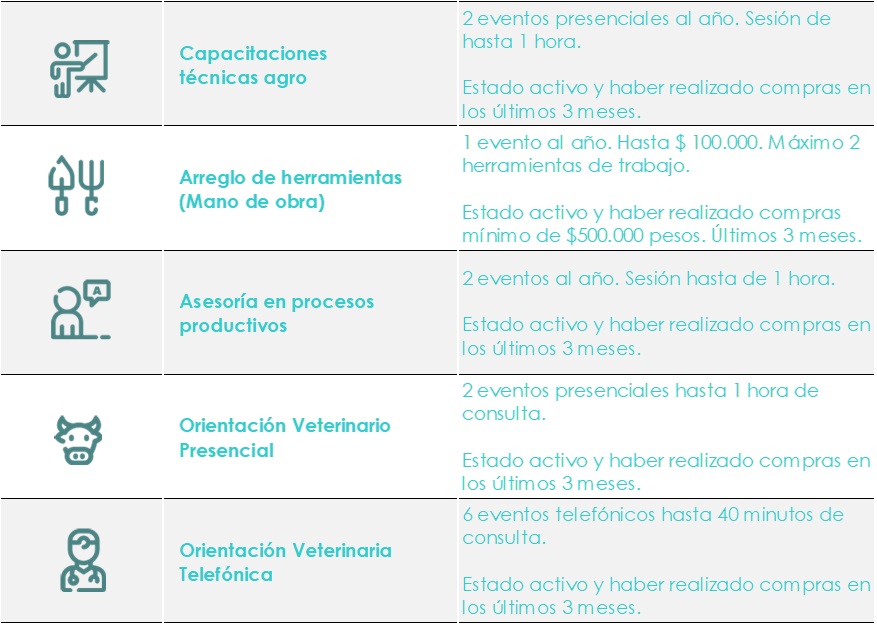 linea productiva