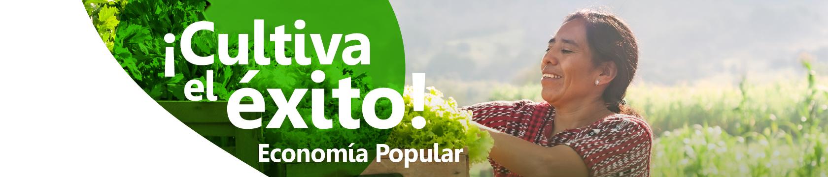 Economia popular