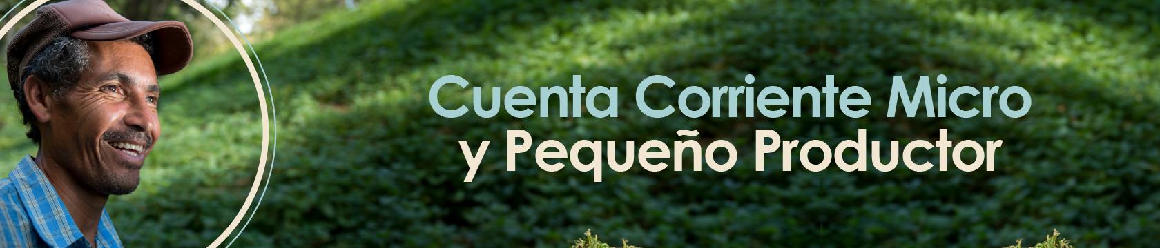 Cuenta Corriente Micro Productor y Pequeño Productor