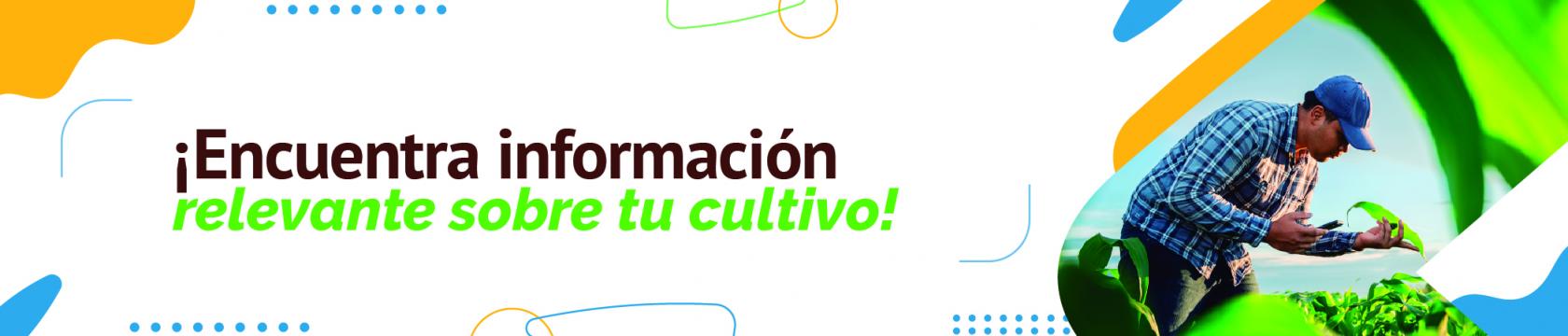 Un hombre junto a su cultivo