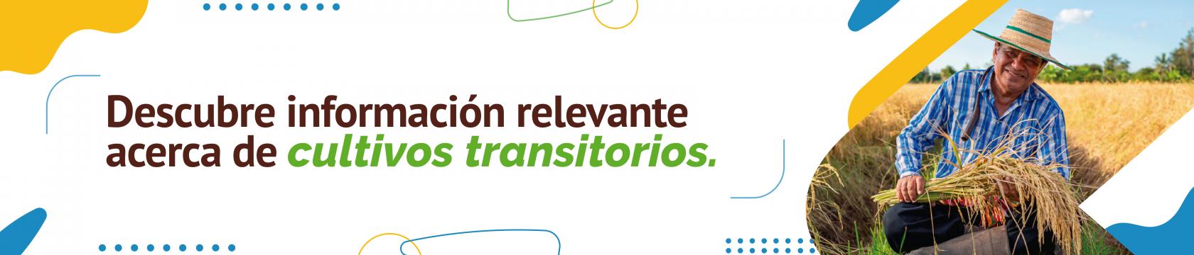 Cultivos transitorios