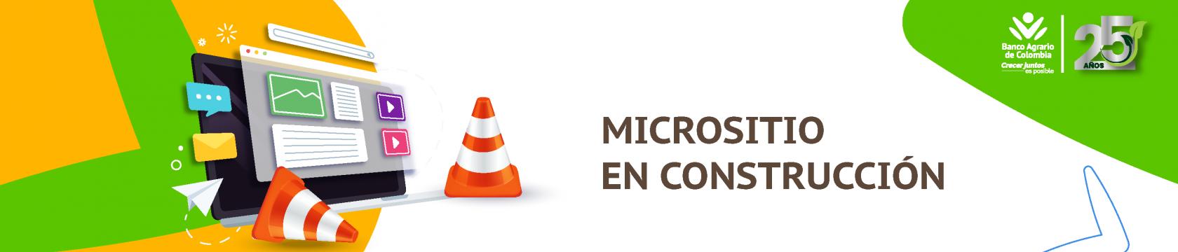 banner informativo sitio web en construcción