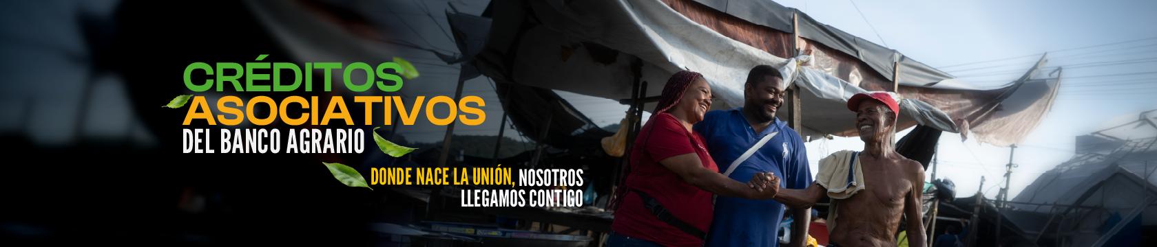 Esquemas Asociativos y de Integración