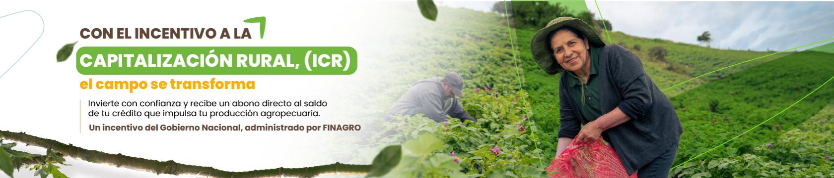 Conoce el ICR 