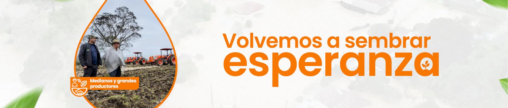 Línea de Redescuento Especial para el Restablecimiento Productivo de Medianos y Grandes Productores