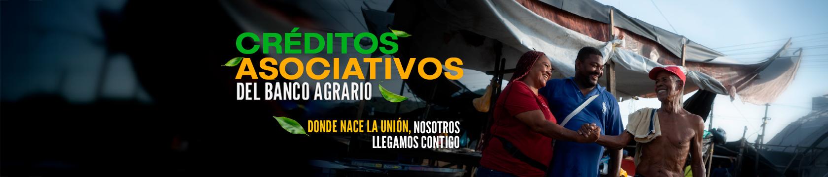 Esquemas Asociativos y de Integración