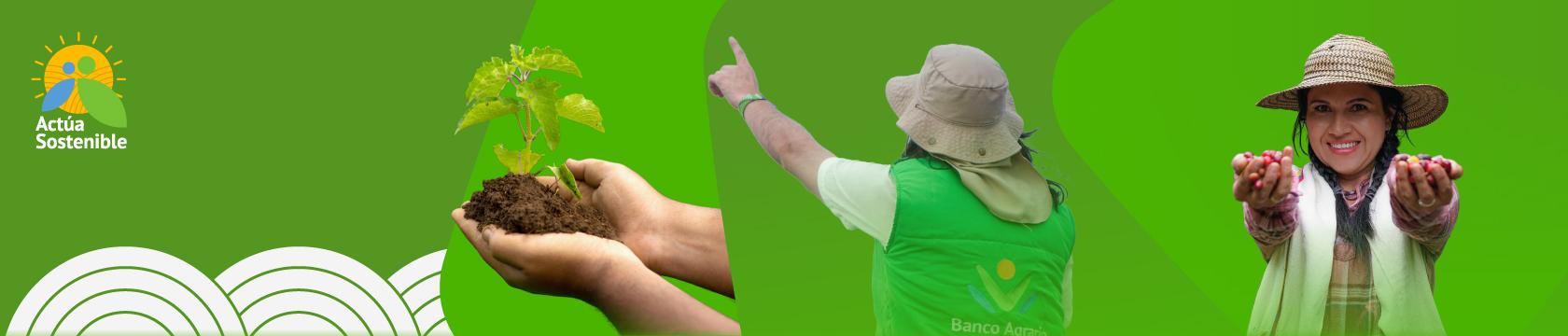 Gestión Ambiental