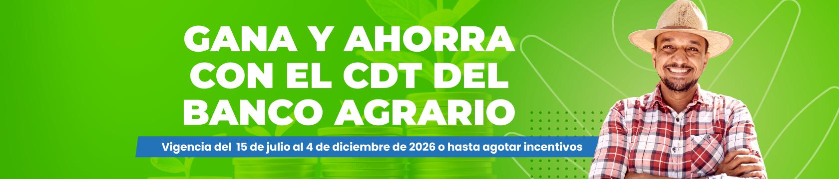 cdt 