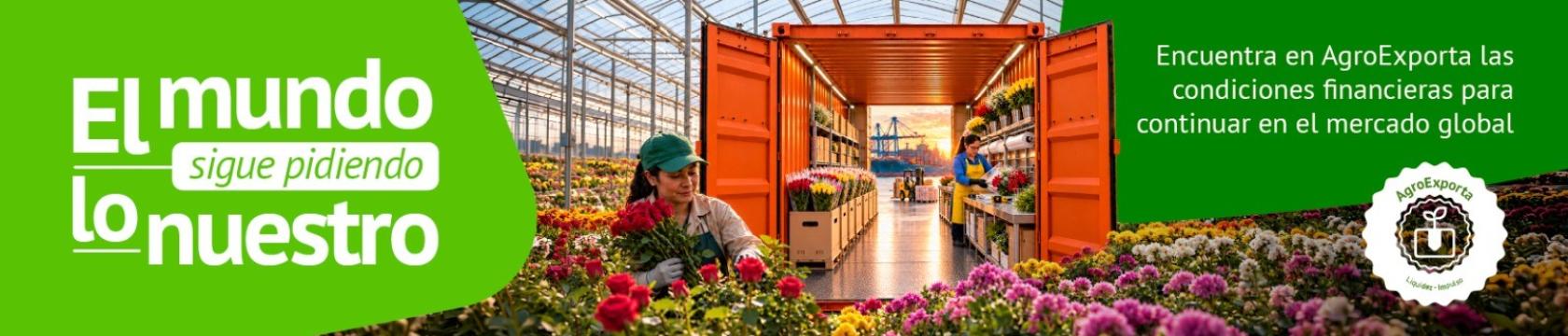 Agroexporta 