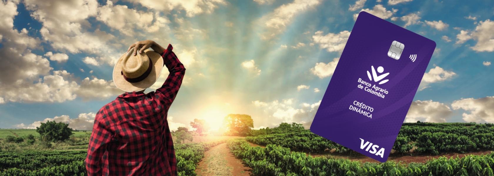 banner tarjeta dinamica