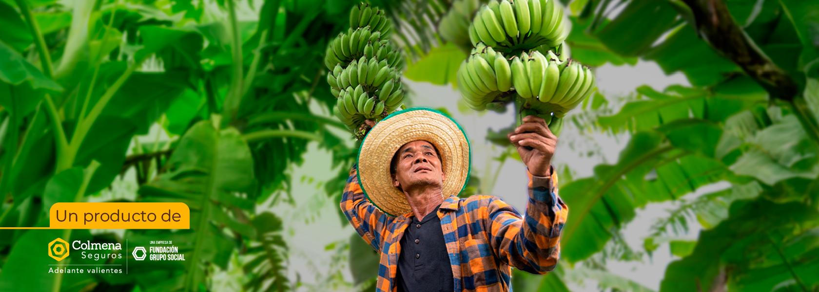 Seguro de Vida Microfinanzas