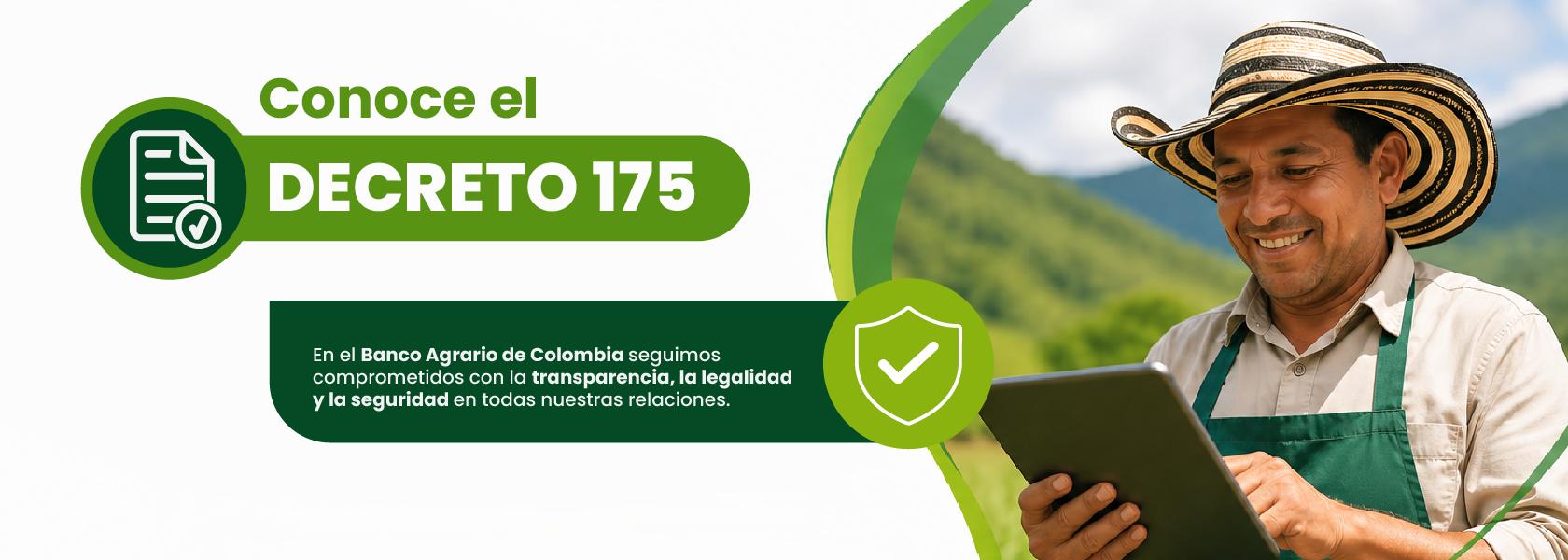 Decreto 175 - 2026