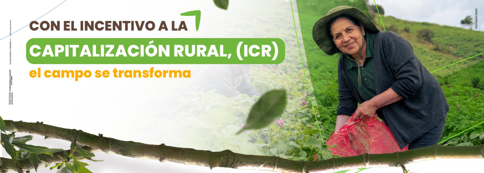 ICGR Campesina con características con los incentivos