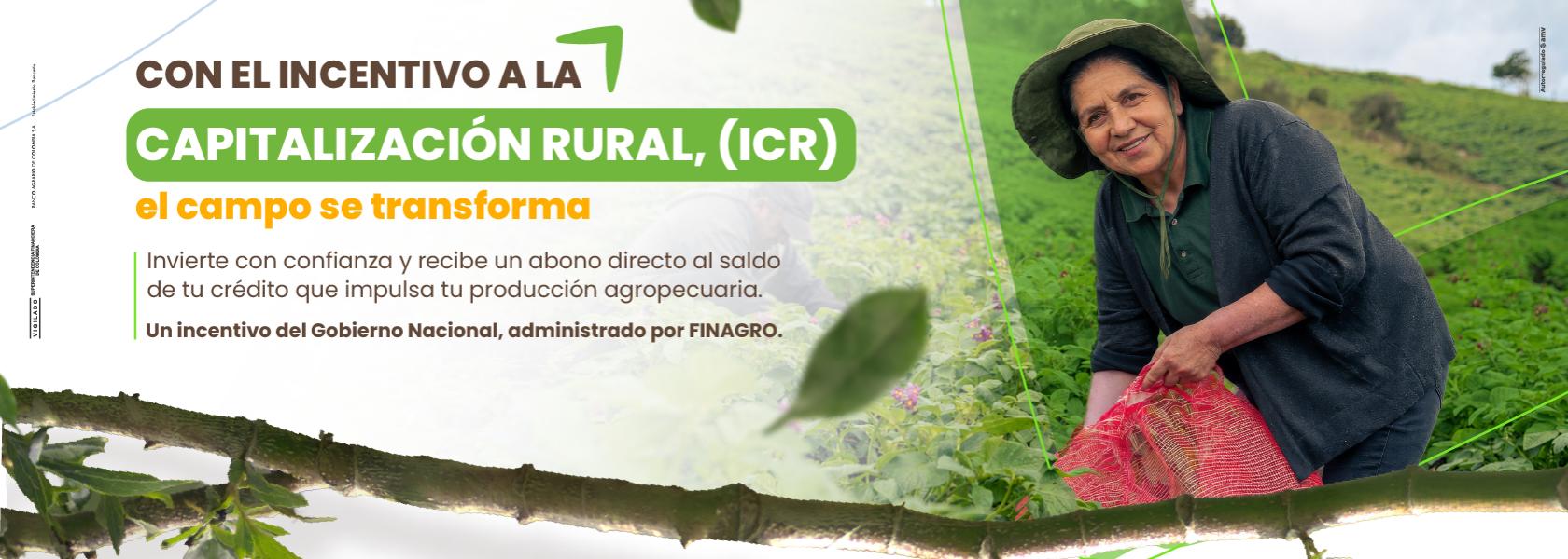 ICGR Campesina con características con los incentivos