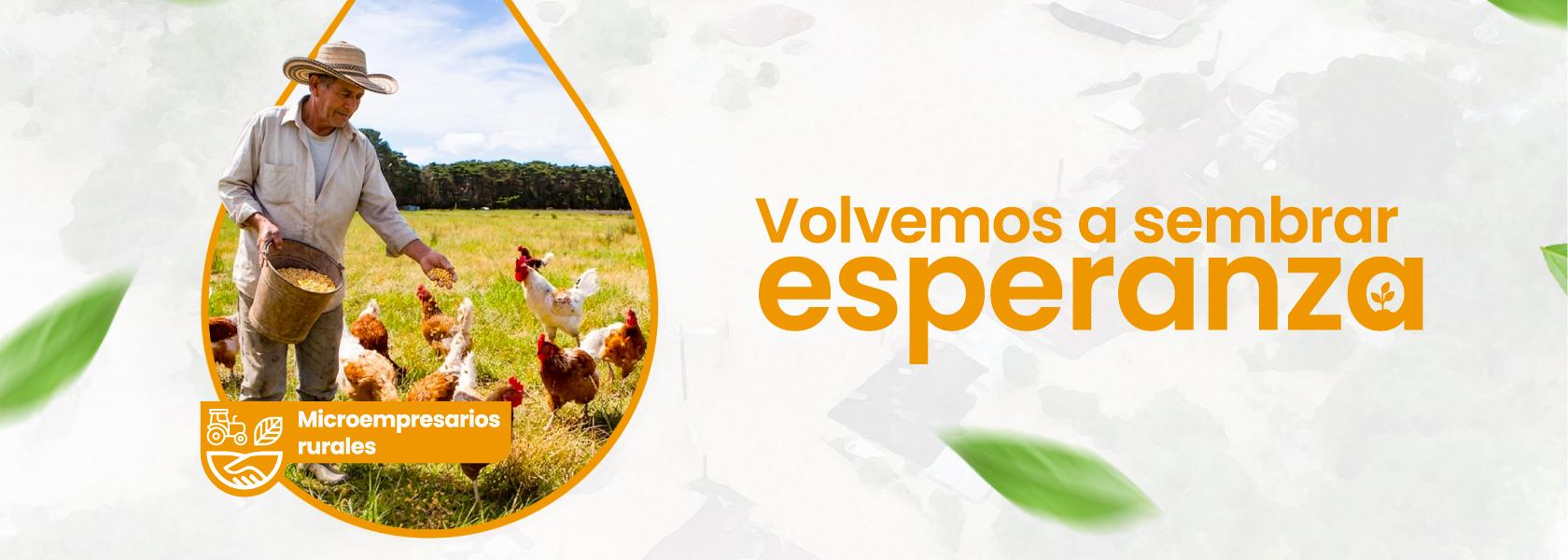 Microempresarios