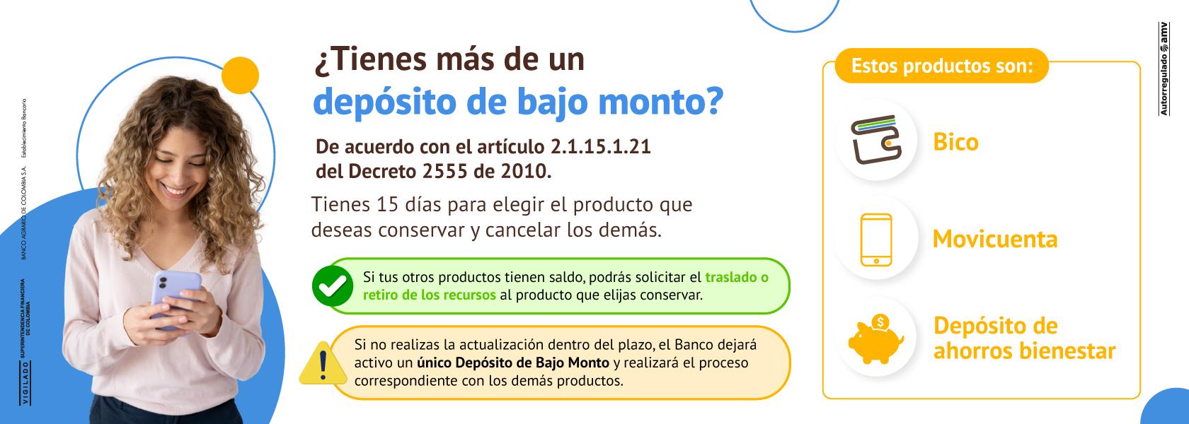 Bajo Monto