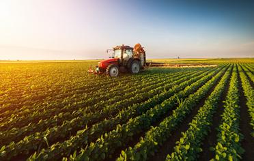 Cupo Rotativo Agropecuario