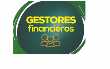 gestor financiero