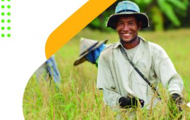 Hombre en un cultivo de arroz