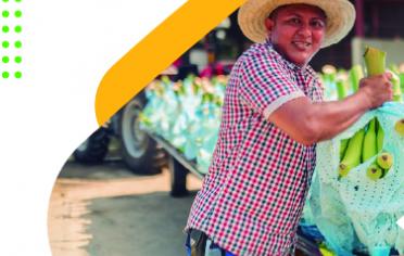 Hombre mostrando un cultivo de plátano