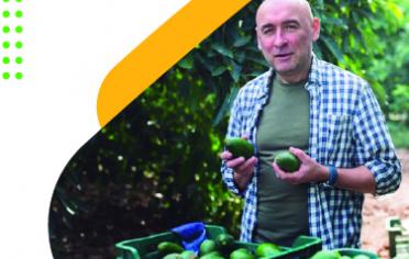 Hombre sosteniendo aguacates