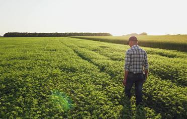 finagro soy empresa