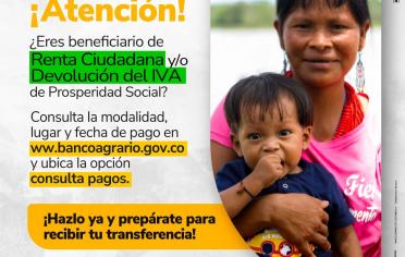 Consultapagos