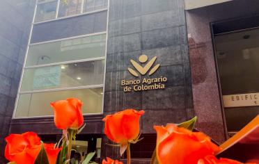 Flores