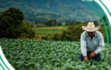 Seguro de vida microfinanzas