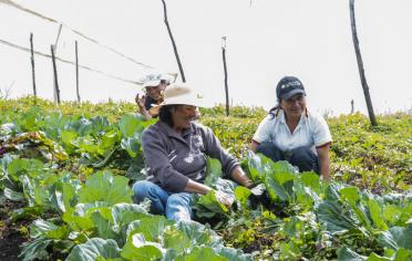 Mujer rural