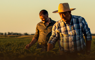 dos campesinos labrando la tierra