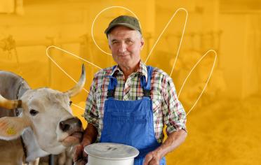 adulto mayor con vaca en un fondo amarillo